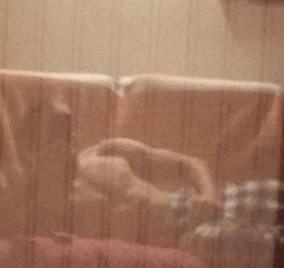 Béryl - Rencontre Asiatique à Ettiswil Profil de Béryl, 30 ans, Rencontre Asiatique à Ettiswil (Lucerne)