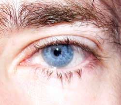 Profil de Nahim, 37 ans, Rencontre Asiatique à Cornol (Jura)