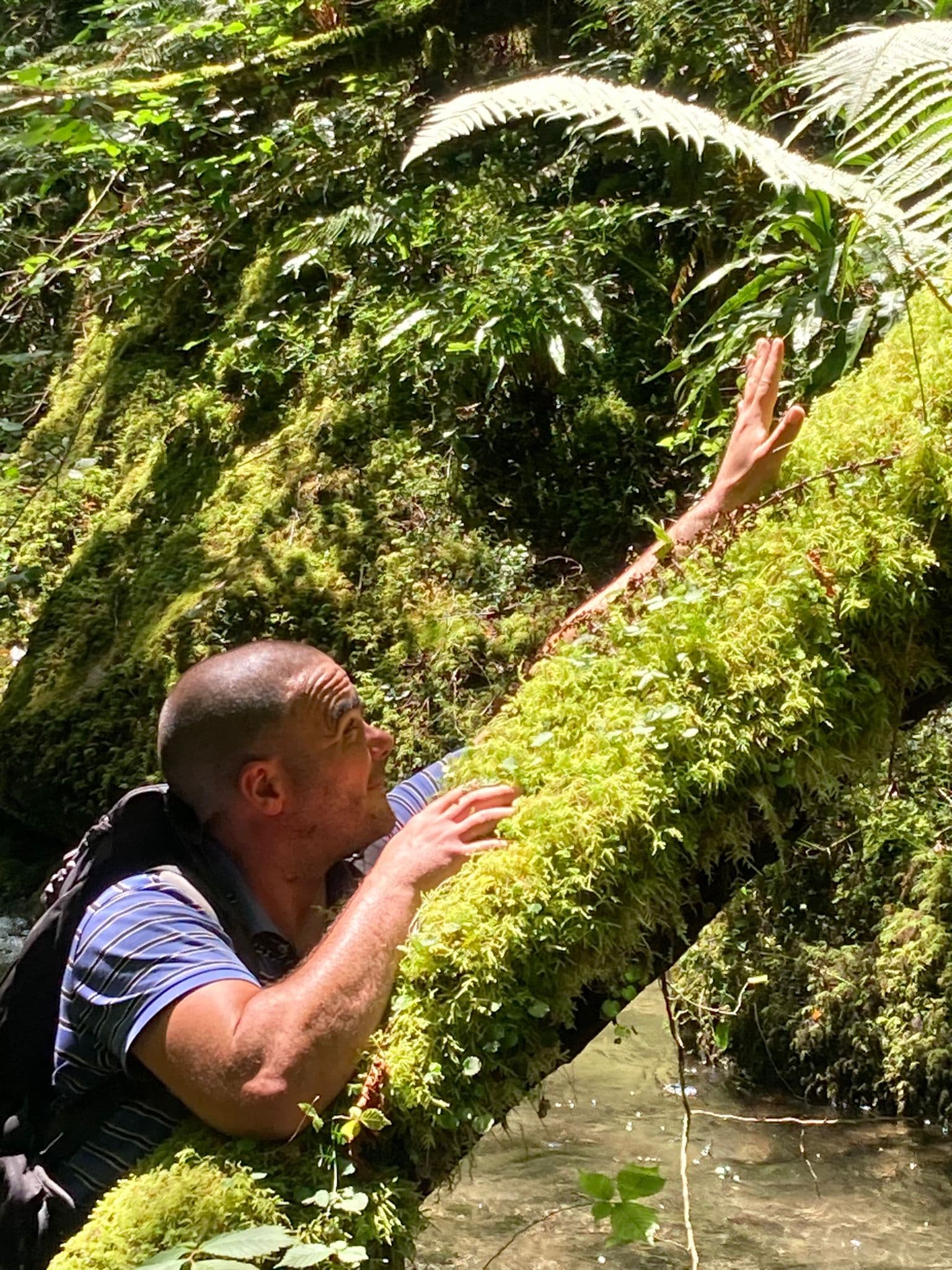 Foucauld - Rencontre Asiatique à Hergiswil NW Profil de Foucauld, 32 ans, Rencontre Asiatique à Hergiswil NW (Lucerne)