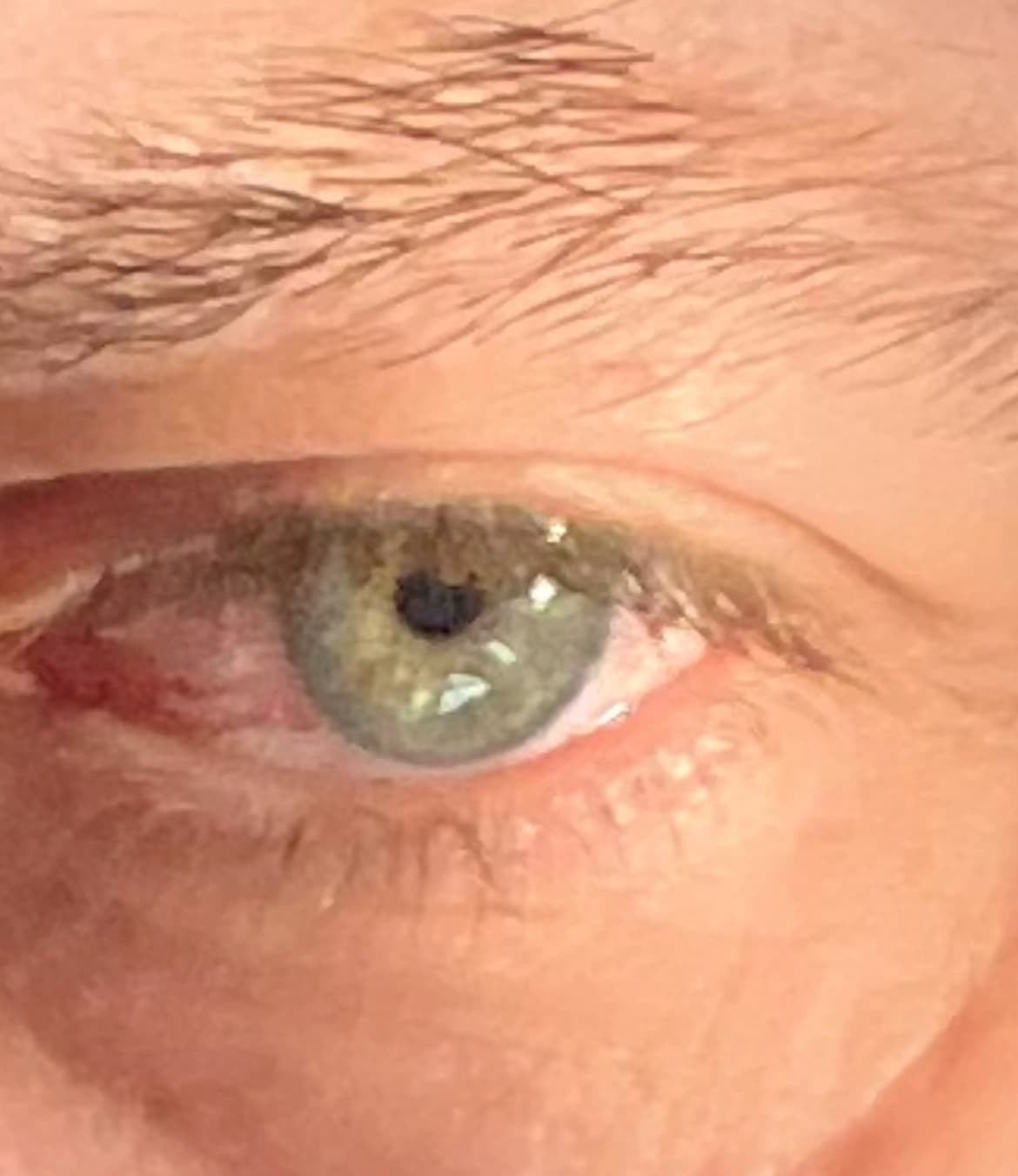 Raoul - Rencontre Asiatique à Conthey Profil de Raoul, 27 ans, Rencontre Asiatique à Conthey (Valais)